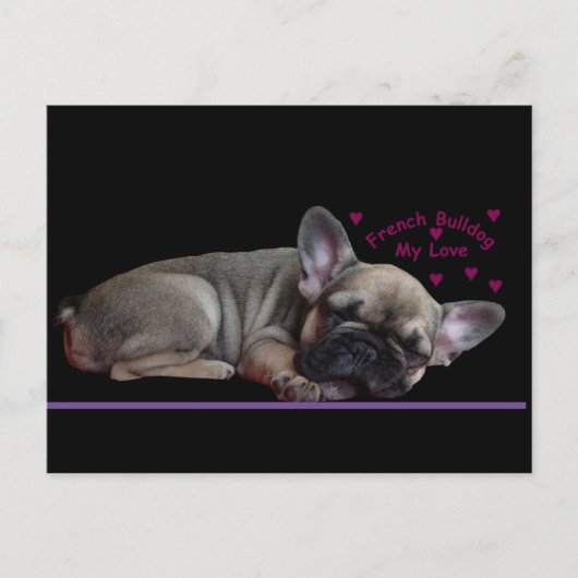 Französische Bulldogge  ポストカード (正面)