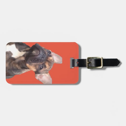 Französische Bulldogge ラゲッジタグ (正面横)