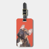 Französische Bulldogge ラゲッジタグ (正面縦)