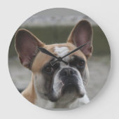 Französische Bulldogge ラージ壁時計 (正面)