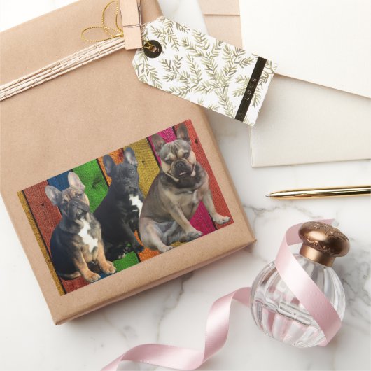 französische Bulldogge 3 Hunde French Bulldog 長方形シール (ギフト)