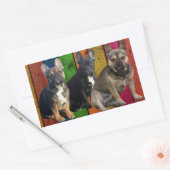 französische Bulldogge 3 Hunde French Bulldog 長方形シール (封筒)