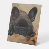 Französische Bulldogge am Meer French Bulldog 台座サイン (正面)
