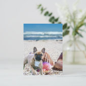 Französische Bulldogge am Strand  Postkarte ポストカード (スタンド正面)