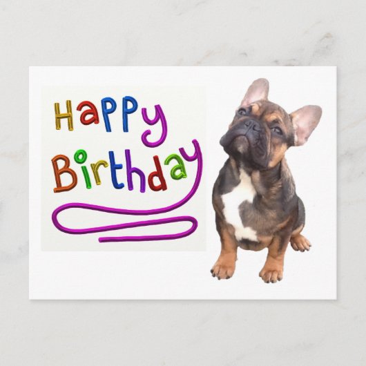 Französische Bulldogge Birthday French Bulldog ポストカード (正面)