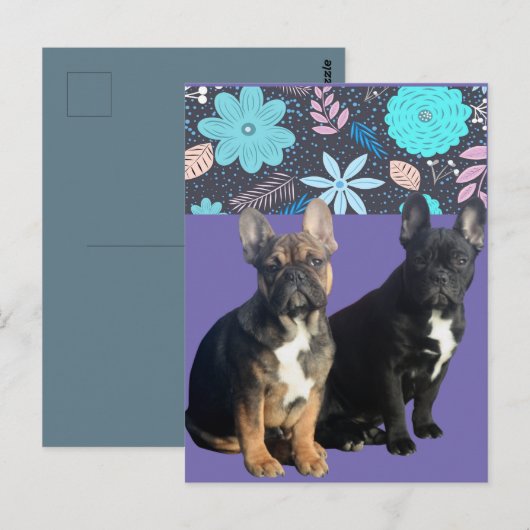 Französische Bulldogge Blumen French Bulldog ポストカード (正面/裏面)