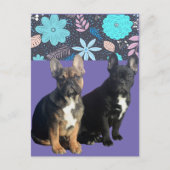 Französische Bulldogge Blumen French Bulldog ポストカード (正面)