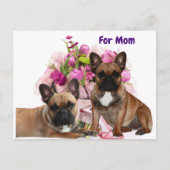 Französische Bulldogge Blumen French Bulldog Feier シーズンポストカード (正面)