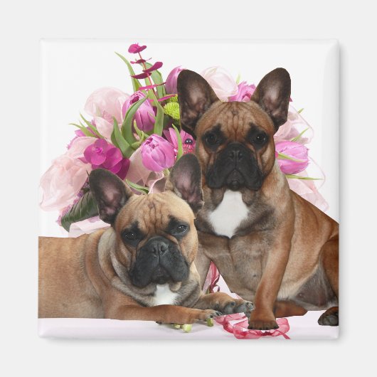 Französische Bulldogge Blumen French Bulldog Feier マグネット (正面)