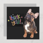 Französische Bulldogge Danke 招待状 (正面/裏面)