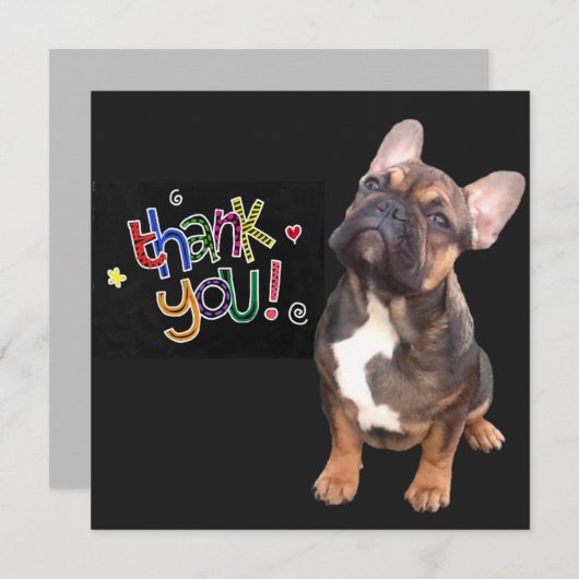 Französische Bulldogge Danke 招待状 (正面/裏面)
