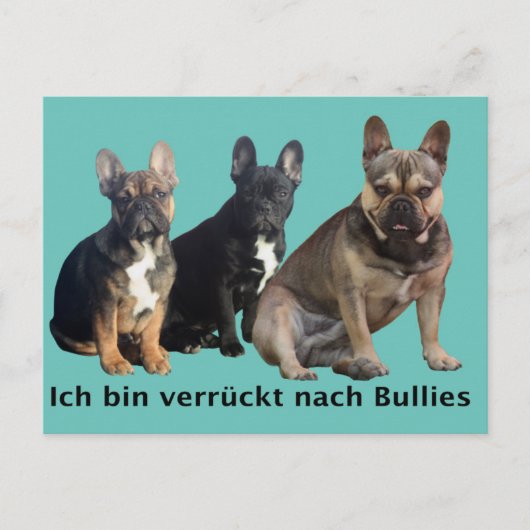 Französische Bulldogge drei Freunde French Bulldog ポストカード (正面)