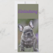 Französische Bulldogge Einladung  招待状 (正面)