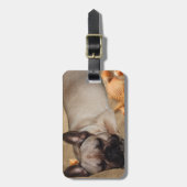 Französische Bulldogge Freizeit French Bulldog ラゲッジタグ (正面縦)