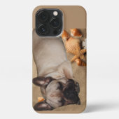 Französische Bulldogge Freizeit French Bulldog iPhoneケース (裏面)