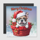 Französische Bulldogge French Bulldog im Korb (正面/裏面)
