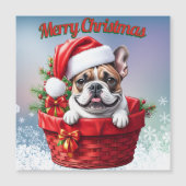 Französische Bulldogge French Bulldog im Korb (正面)