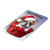 Französische Bulldogge French Bulldog im Korb マグネット (左側)