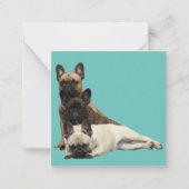 Französische Bulldogge Freunde French Bulldog ノートカード (正面)