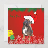 Französische Bulldogge Frohe Weihnachten Bulldog 招待状 (正面)