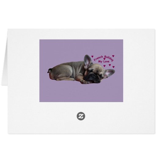 Französische Bulldogge Geburtstag French Bulldog (裏面横)