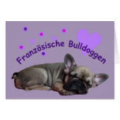 Französische Bulldogge Geburtstag French Bulldog (正面横)