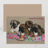Französische Bulldogge Geburtstag French Bulldog (正面/裏面)