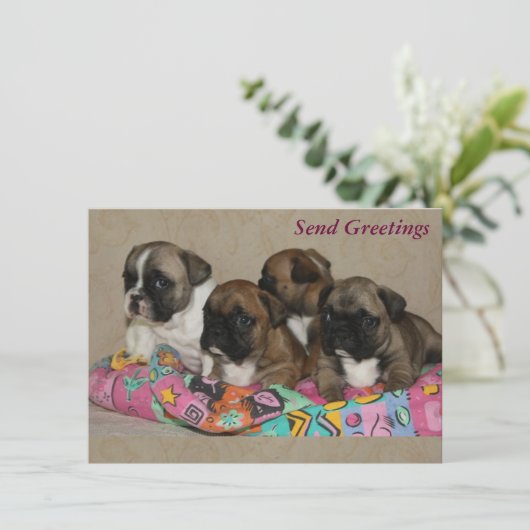 Französische Bulldogge Geburtstag French Bulldog (スタンド正面)