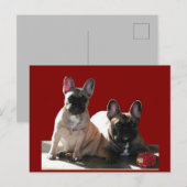Französische Bulldogge Geburtstag French Bulldog ポストカード (正面/裏面)