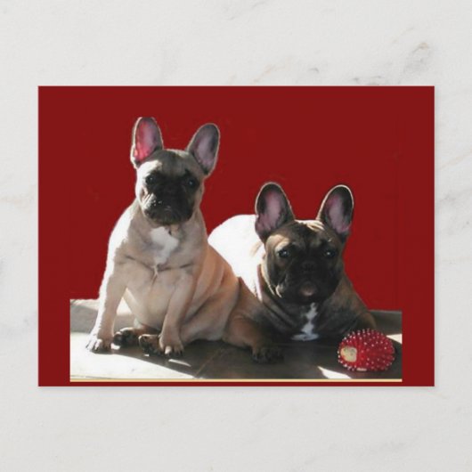 Französische Bulldogge Geburtstag French Bulldog ポストカード (正面)