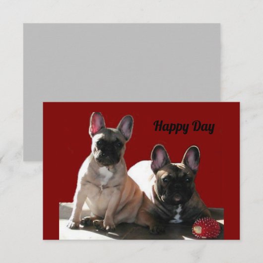 Französische Bulldogge Geburtstag French Bulldog 招待状 (正面/裏面)