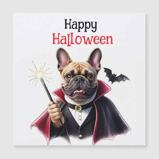 französische Bulldogge Halloween French Bulldog (正面)