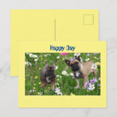 Französische Bulldogge Happy Day French Bulldog ポストカード (正面/裏面)