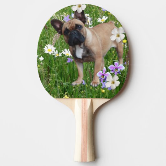Französische Bulldogge Happy Day French Bulldog 卓球ラケット (正面)