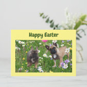 Französische Bulldogge Happy Easter French Bulldog 招待状 (スタンド正面)