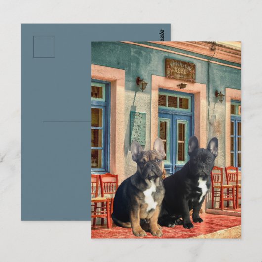 Französische Bulldogge Haus French Bulldog  ポストカード (正面/裏面)