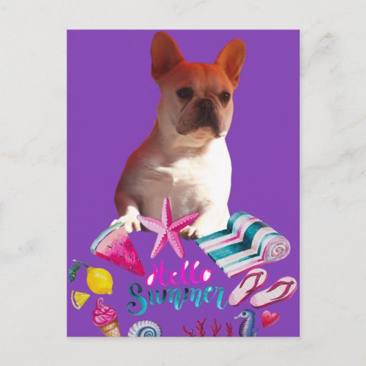 Französische Bulldogge Hello Summer French Bulldog ポストカード (正面)