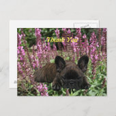 Französische Bulldogge Herz French Bulldog ポストカード (正面/裏面)