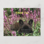 Französische Bulldogge Herz French Bulldog ポストカード (正面)