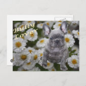 Französische Bulldogge Herz French Bulldog ポストカード (正面/裏面)