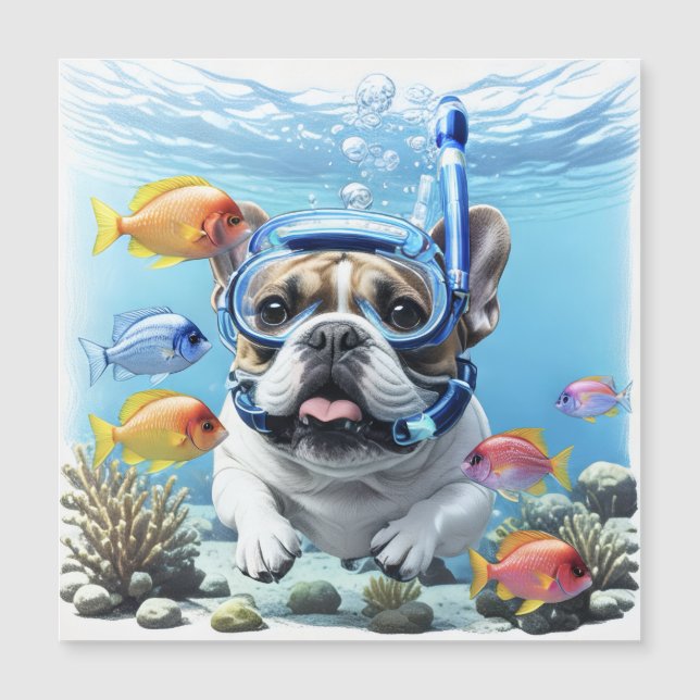 Französische Bulldogge im Urlaub French Bulldog (正面)