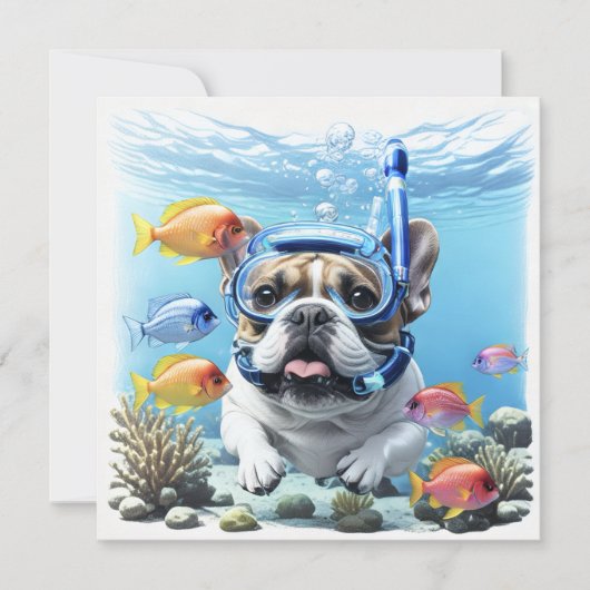 Französische Bulldogge im Urlaub French Bulldog (正面)