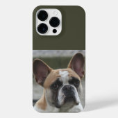 Französische Bulldogge  iPhoneケース (裏面)