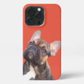 Französische Bulldogge   iPhoneケース (裏面)