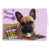 Französische Bulldogge Karte (正面横)