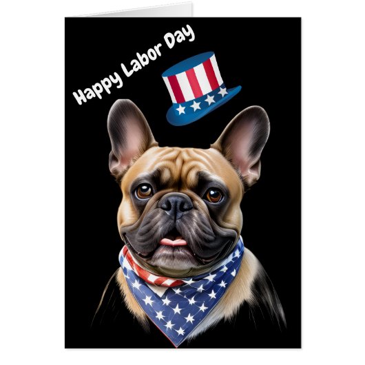 Französische Bulldogge Labor Day French Bulldog (正面)