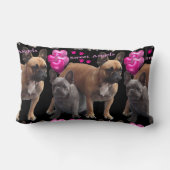 Französische Bulldogge lustig French Bulldog ランバークッション (裏面)