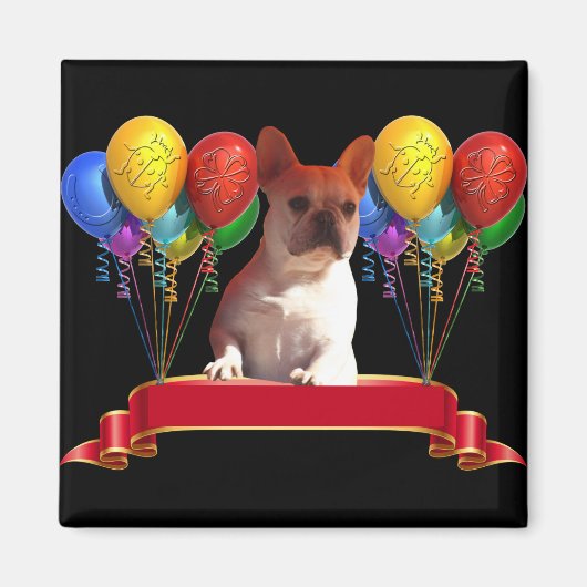 französische Bulldogge mit Ballons マグネット (正面)