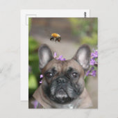Französische Bulldogge mit Biene French Bulldog ポストカード (正面/裏面)