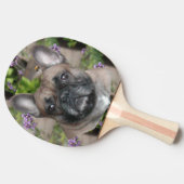 Französische Bulldogge mit Biene French Bulldog 卓球ラケット (横)